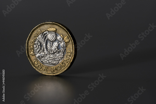 British one pound coin macro photo. Coin with the signs of circulation, worn state. Isolated on the grey background. photo