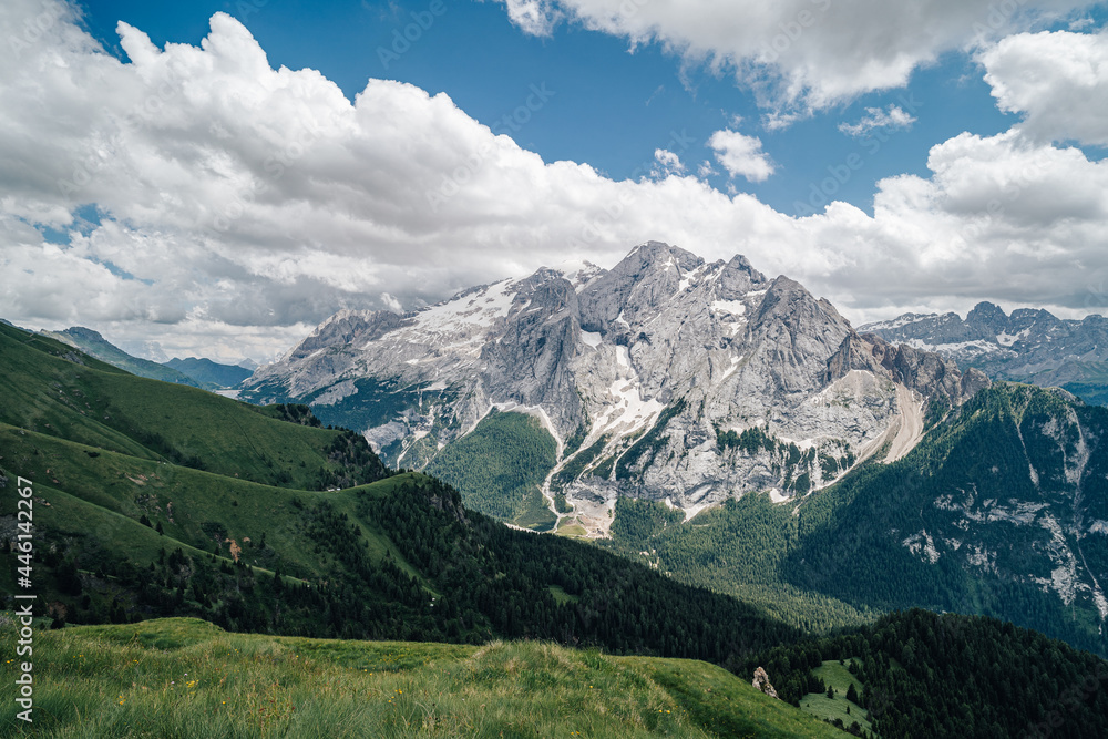 Obraz premium Summer view of Marmolada (Punta Penia), the highest peak in Dolomites, Italy. Alpine landscape of Dolomiti with a view of a glacier on Marmolada and beautiful green meadow with yellow flowers.