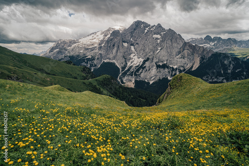 Summer view of Marmolada (Punta Penia), the highest peak in Dolomites, Italy. Alpine landscape of Dolomiti with a view of a glacier on Marmolada and beautiful green meadow with yellow flowers.