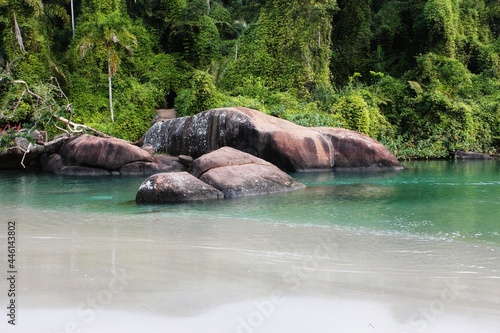 Green tropical vegetation  gray rocks and greenish transparent water river. Tropical scenery.