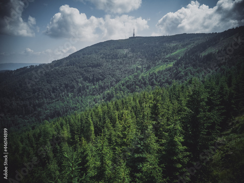 Fototapeta Naklejka Na Ścianę i Meble -  Widok na stację nadawczą na Skrzyczne w Beskidach, las iglasty, góry, krajobraz górski
