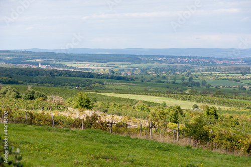 Summer landscape with fields, meadows and vineyard in Europe. Beautiful view on a valley.