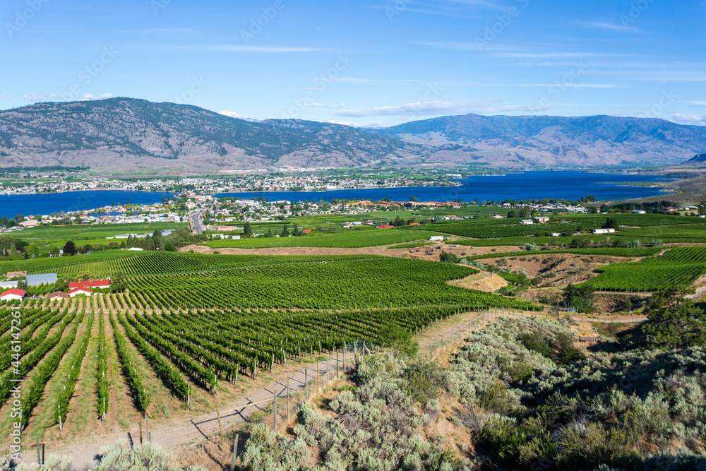 Winery Vineyard Osoyoos British Columbia Canada