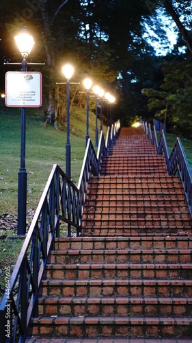 Stairway in the Park