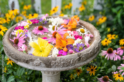 Принти на полотні Fresh flower blossoms floating in a backyard birdbath