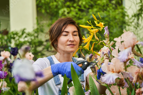 Gardener in gloves cutting flower with pruning shears