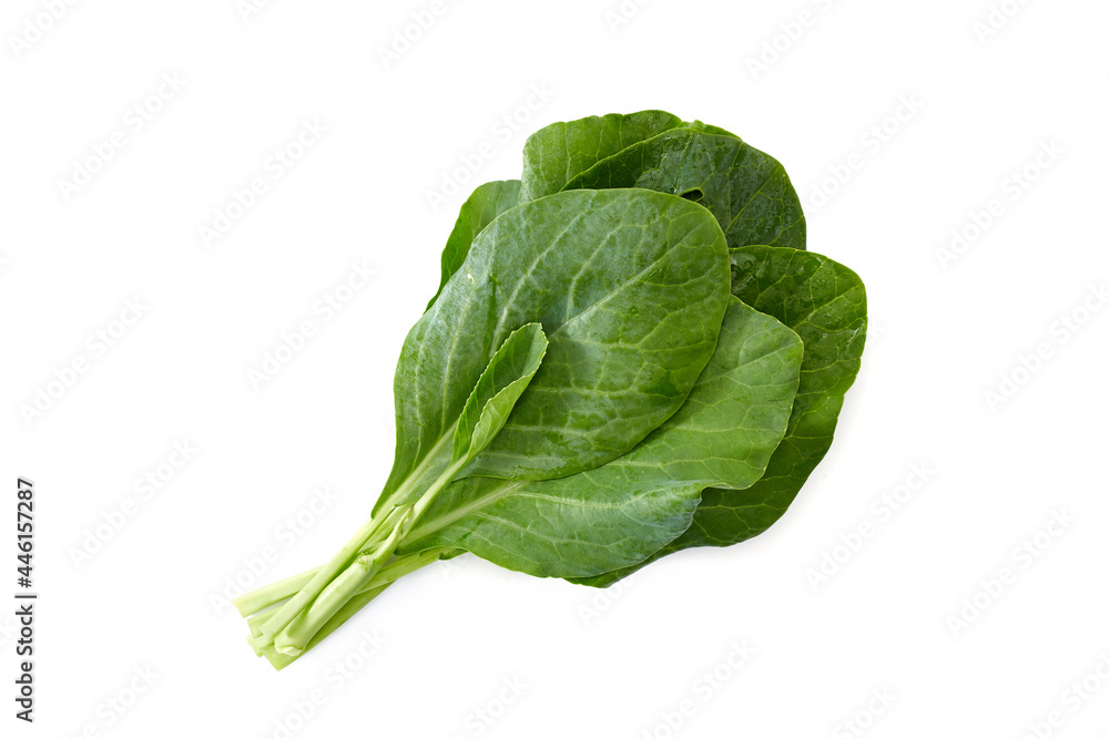 fresh Chinese kale vegetable on white background fresh Chinese kale vegetable on white background