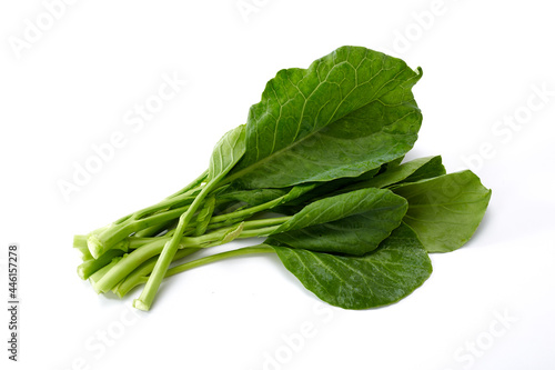 fresh Chinese kale vegetable on white background