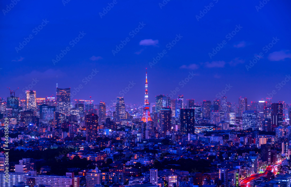 Naklejka premium 東京夜景