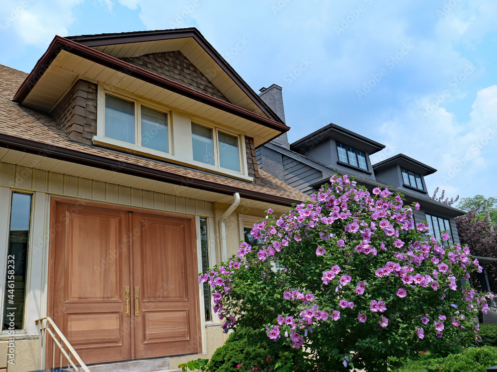 Garden in summer with beautiful purple Rose of Sharon bush and house with elegant wooden double front door