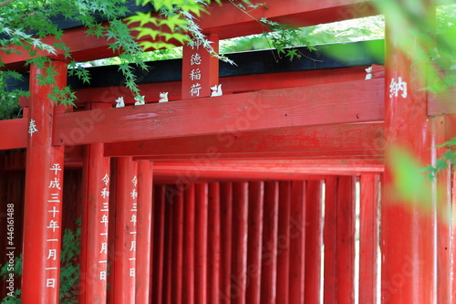 新徳稲荷神社 鳥居