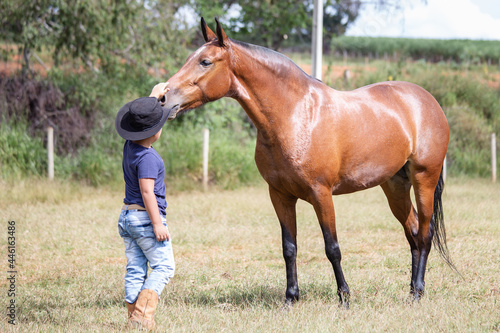 A beautiful Mangalarga Marchador mare with the blood bay coat receiving affection from a young cowboy. Concept of friendship between a child and a horse. photo