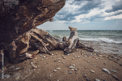 rocks on the beach