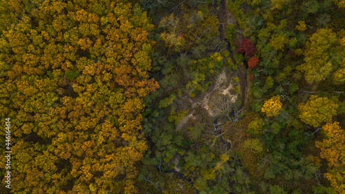 Sikhote-Alin Biosphere Reserve. View from above. Small river in the autumn forest.