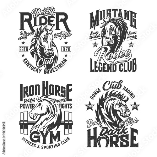 Horse stallion mascot t-shirt print template. Mustang horse muzzle with waving mane engraved vector. Equestrian and rodeo sport, fitness gym and racing club apparel custom design print with mascot
