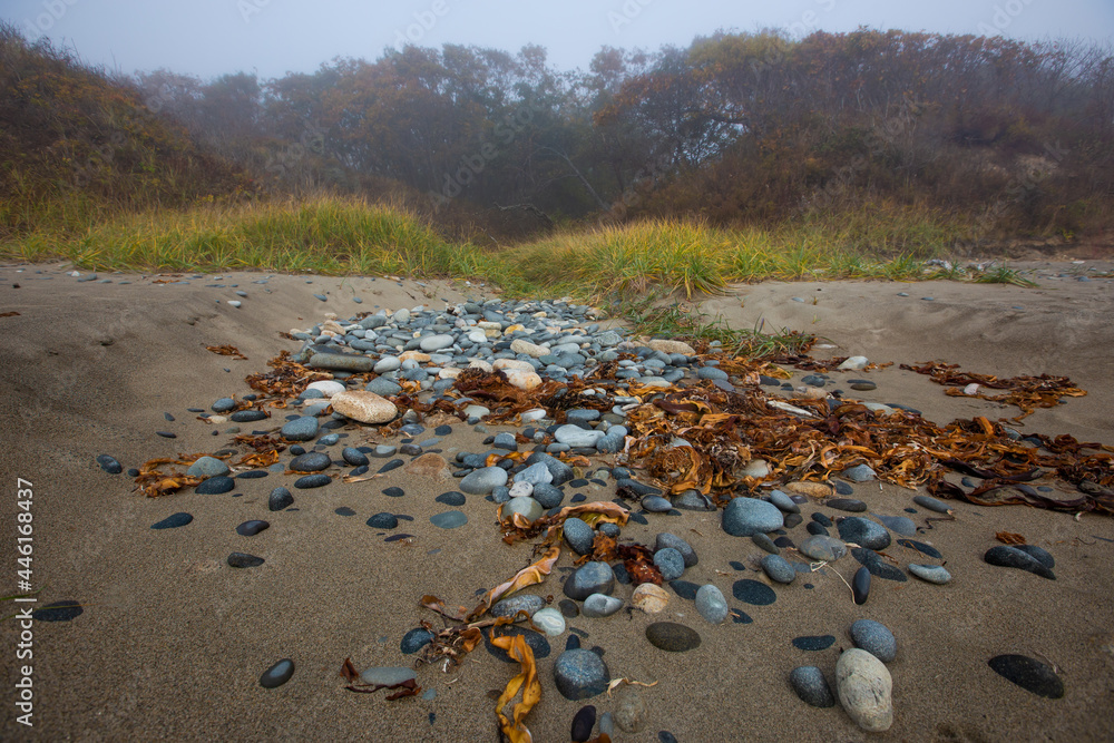 Sikhote-Alin Biosphere Reserve. Round sea kamli lie on a sandy beach against the backdrop of a dense autumn forest. Sea coast. Wild beach. Sikhote-Alin Biosphere Reserve. Round sea kamli lie on a sandy beach against the backdrop of a dense autumn forest. Sea coast. Wild beach.