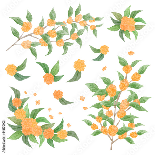 水彩風　金木犀のベクターイラスト　パーツセット