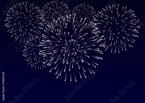 Vector Brightly Colorful Fireworks on the background of the night sky.