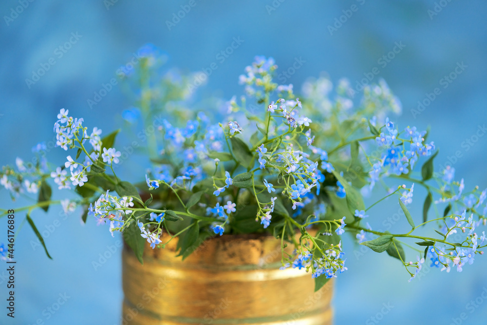 Fototapeta premium Light blue forget-me-nots in a tin can on a blue background. Selective focus.