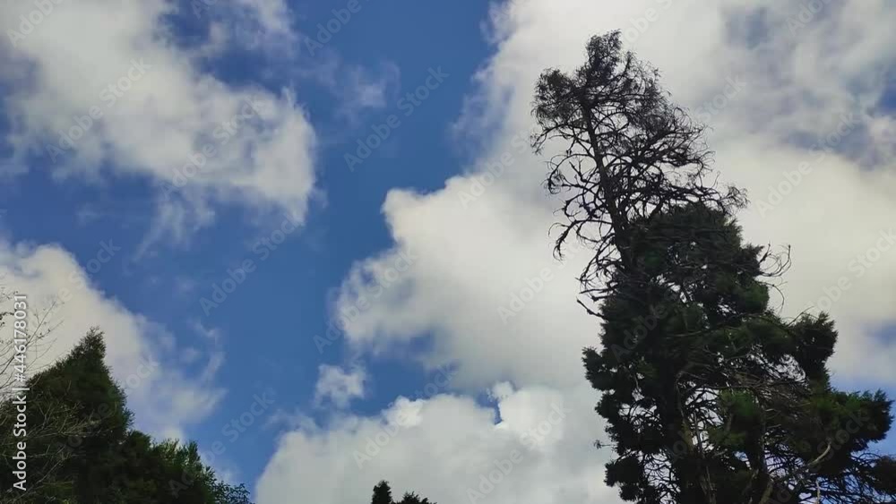 white cloud moving fast with bright blue sky at evening white cloud moving fast with bright blue sky at evening