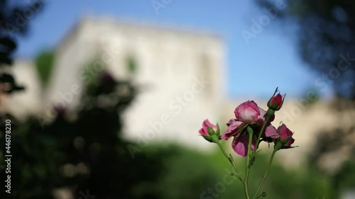 Byzantine Golden Gate of Constantinople in Yedikule fortress of Istanbul Turkey photo