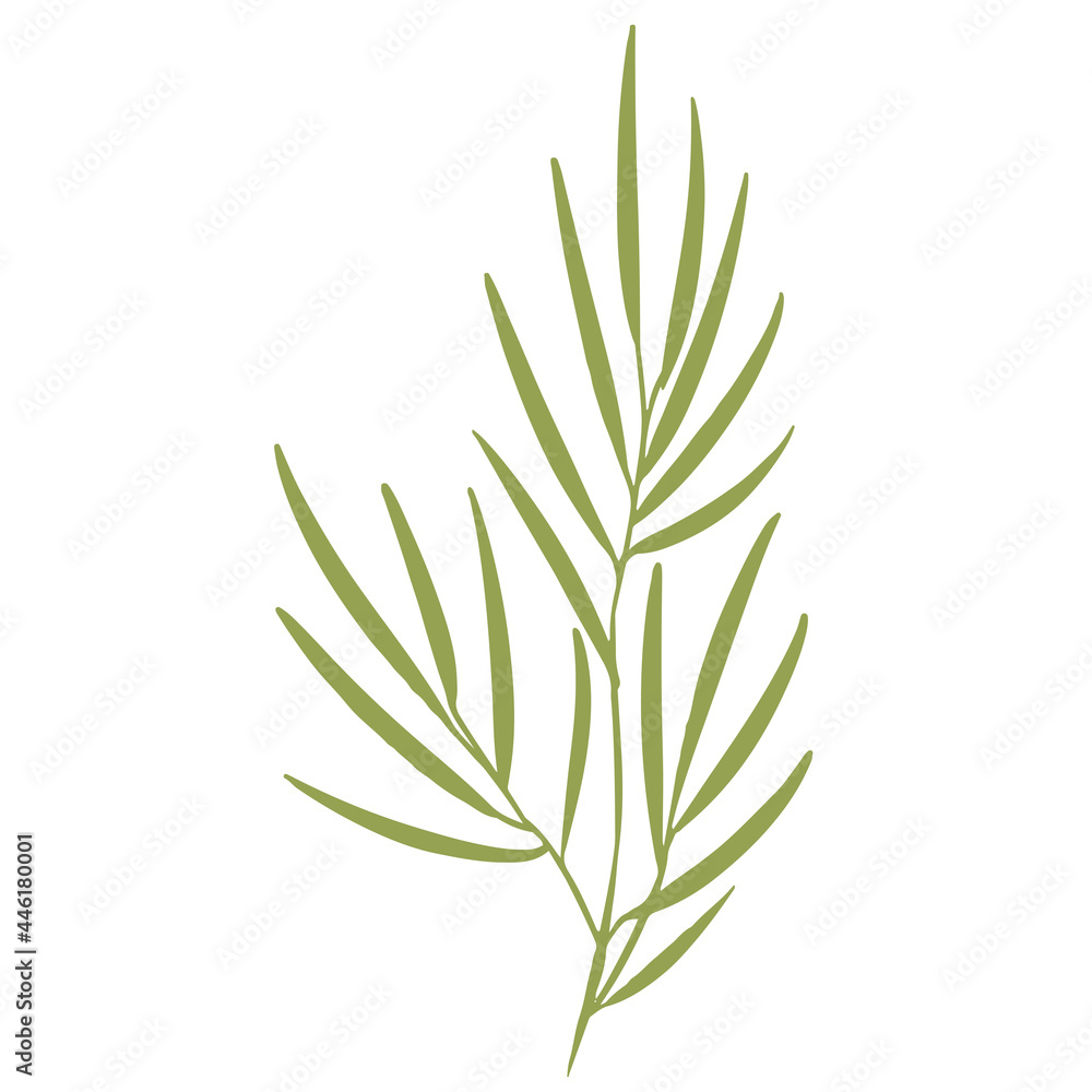 Obraz premium Vector illustration of a palm tree branch with green leaves. Design for fabric, printing, wallpaper, packaging, posters, medicine, beauty, postcards.
