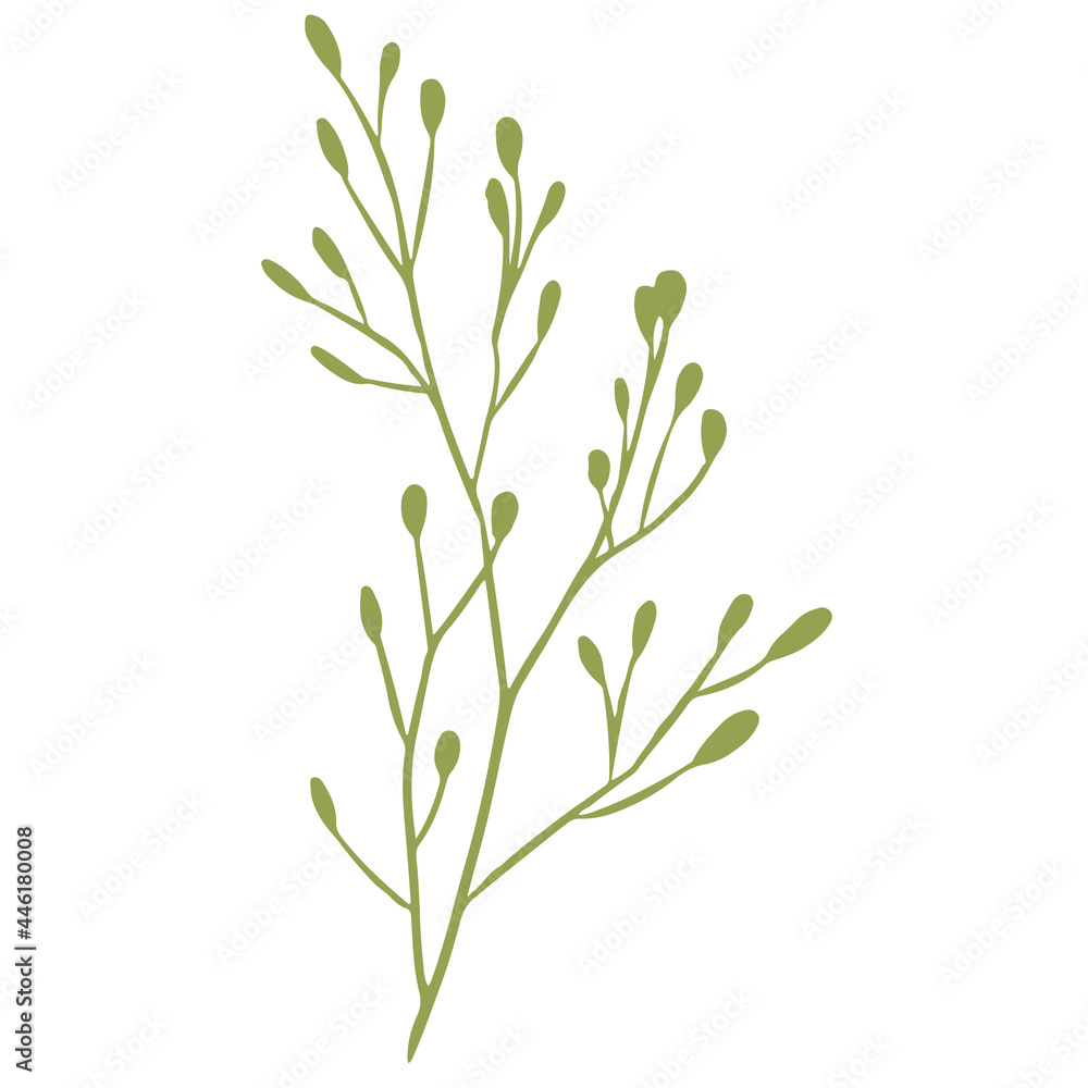 Vector illustration of a green branch with foliage. Silhouette. Design for fabric, printing, wallpaper, packaging, posters, medicine, beauty, postcards. Vector illustration of a green branch with foliage. Silhouette. Design for fabric, printing, wallpaper, packaging, posters, medicine, beauty, postcards.