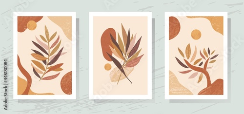 Botanical floral wall art set of 3 abstract boho designs.Luxury bohemian interior.Minimal vector background,foliage leaves tree,nude pastel terracotta shapes.Leaf.Sun.Bedroom home decor.Gallery poster