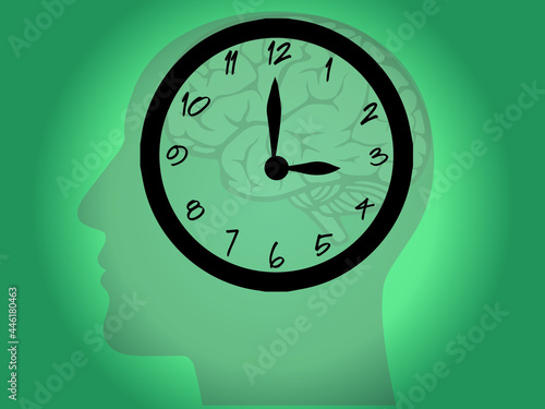The circadian rhythms are controlled by circadian clocks or biological clock these clocks tell our brain when to sleep, tell our gut when to digest and control our activity in several day.