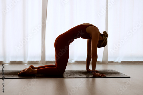A woman practices yoga with the cat pose.