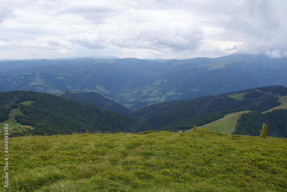 Mountains, Carpathians, Ukraine, alpine meadows. Mountains, Carpathians, Ukraine, alpine meadows.