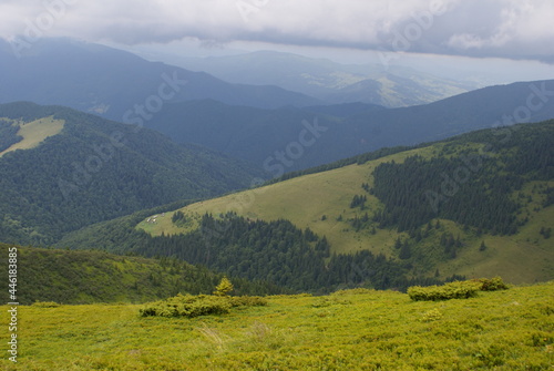 Mountains, Carpathians, Ukraine, alpine meadows.