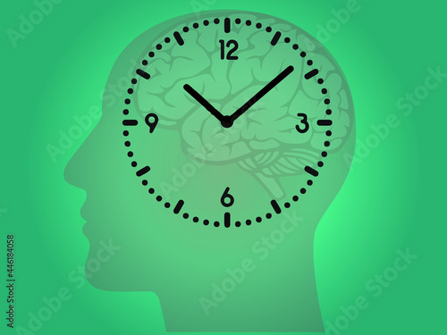 The circadian rhythms are controlled by circadian clocks or biological clock these clocks tell our brain when to sleep, tell our gut when to digest and control our activity in several day.