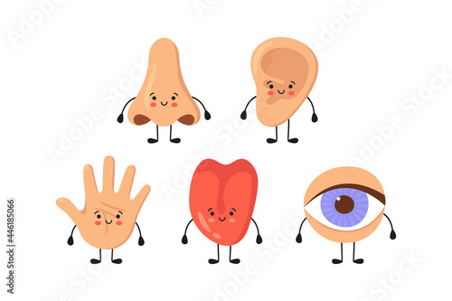 Five human senses organs kawaii characters set. Nose, ear, hand, tongue and eye. Cute sensory organs. See, hear, feel, smell and taste. Vector illustrations isolated on white background.