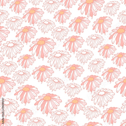 Seamless pattern pink flower buds chamomile. Daisy abstract vector illustranion isolated on white.