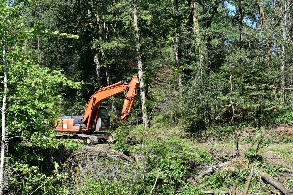 Excavator clearing a land in a forest, destroying all the existing ecosystem. Excavator clearing a land in a forest, destroying all the existing ecosystem.