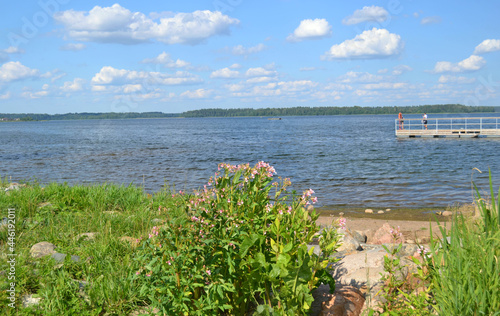 Beautiful landscape with lake in sunny summer day. Northwest Europe. Eco-tourism. Horizontal view. Wallpaper.  