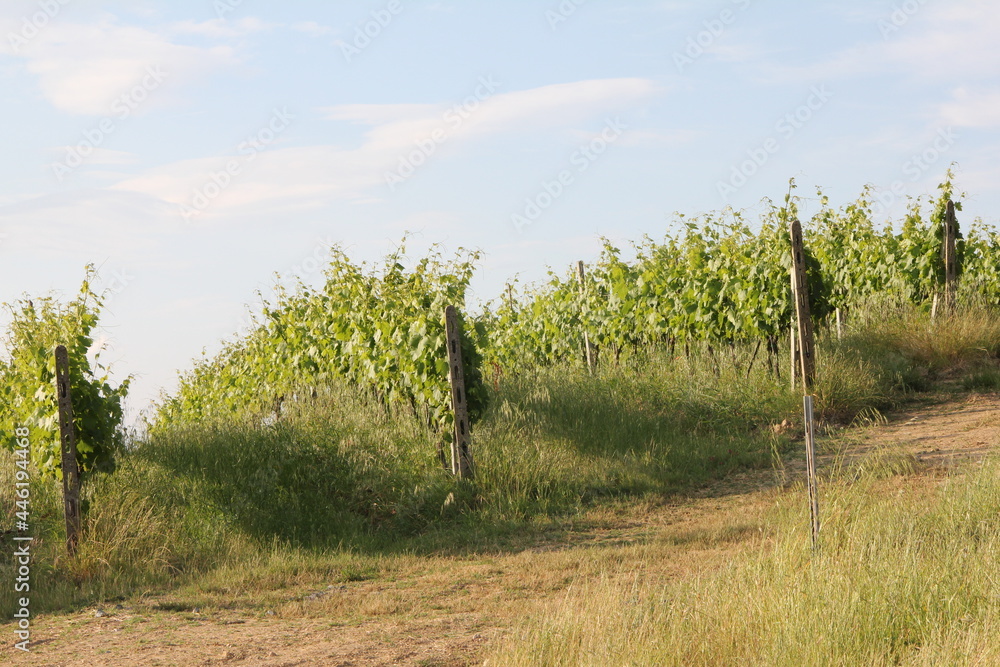 Obraz premium Toscana