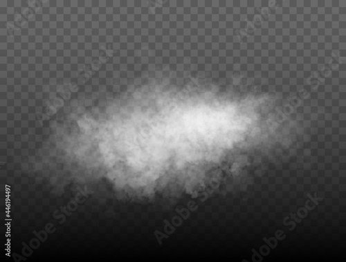Fog or smoke isolated transparent special effect. White vector cloud, mist or smog background. Vector illustration