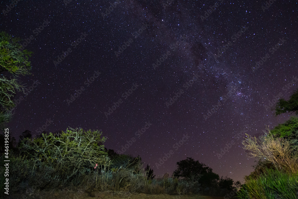 star-sparkling night sky over south africa 1