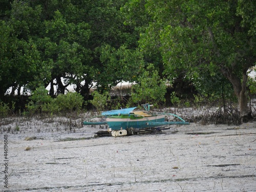 A boat is docked in the middle of a swampy area at low tide