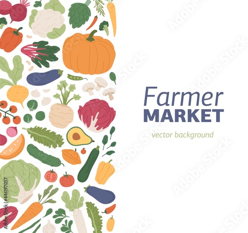 Card design with fresh organic vegetables. Veggie background for vegetarian farmer market. Backdrop with farm harvest. Colored flat vector illustration of healthy raw vitamin food with place for text