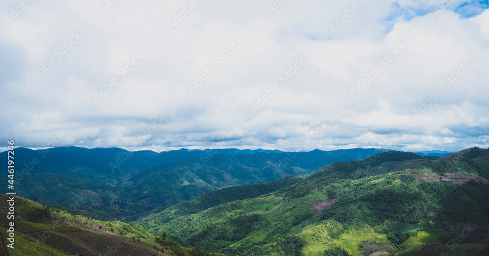 Obraz premium cloud covered the mountain peak in the north of Thailand.