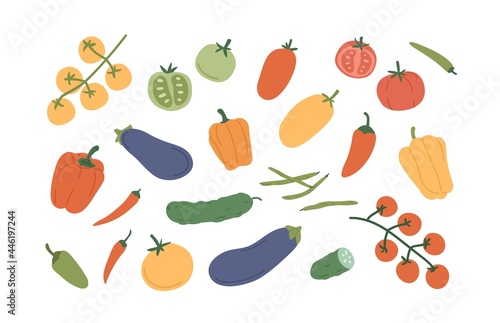 Set of fresh ripe vegetables. Organic healthy veggies. Bell pepper, chili, pod radish, tomato, cucumber and jalapeno. Colored flat vector illustration of vegetarian food isolated on white background
