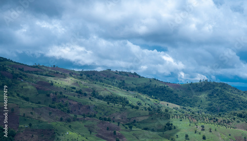 cloud covered the mountain peak in the north of Thailand.