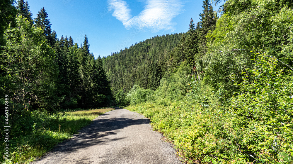 abwärtsführender Wanderweg umgeben von Bergen Wald und Wiesen bei strahlend blauem Himmel