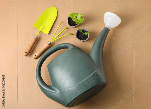 Gardening tools and plant s...