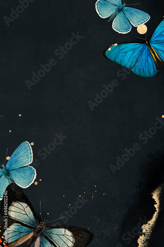 Obraz na płótnie Blue butterflies patterned on black background vector