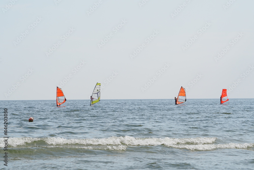 Surferzy nad Bałtykiem koło Sopotu, Polska - obrazy, fototapety, plakaty 