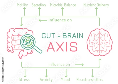 Gut - Brain AXIS landscape poster. Useful infographic.